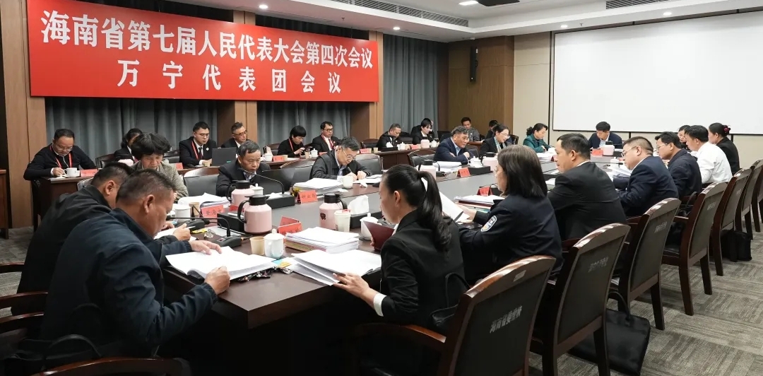 万宁代表团审议省人大常委会工作报告、省法检“两院”工作报告和2025年省级民生实事候选项目