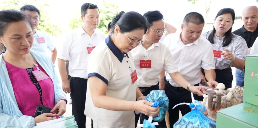 万宁市人大常委会组织省七届人大代表开展专题调研